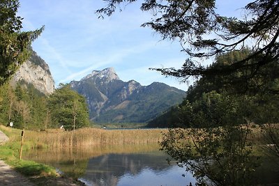 Ferienwohnung in der Steiermark mit...