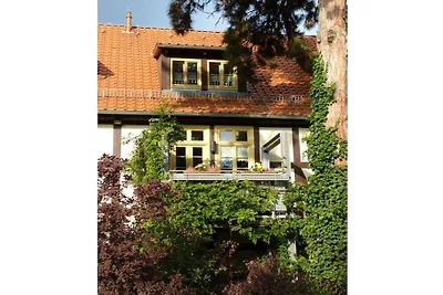 Appartement am Park