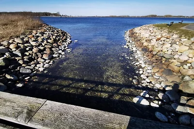 4 sterren vakantie huis in Aalborg