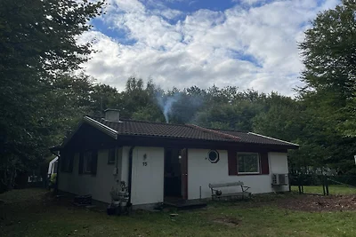9 Personen Ferienhaus in SÖSDALA