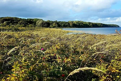 Spokoj nad morzem w Vejlby Fed-By Traum