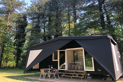 Tenda glamping con comfort moderni ad Anversa