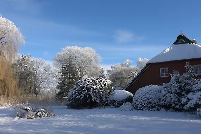 Landhaustraum unter Reet