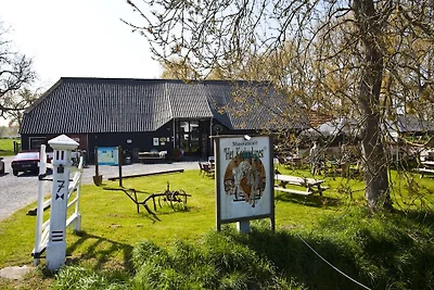 Modern vakantiehuis in Nieuwvliet met tuin