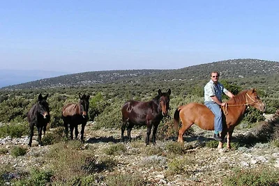 Vila Marija mit Pool