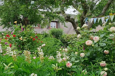 Ferienhaus mit 3 Schlafzimmer