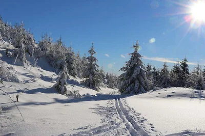Geräumige Wohnung in Winterberg nahe Skipiste