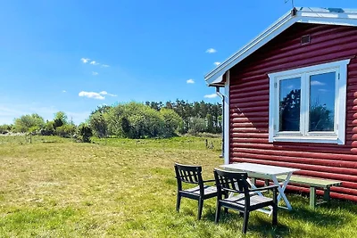 4 Personen Ferienhaus in BORGHOLM
