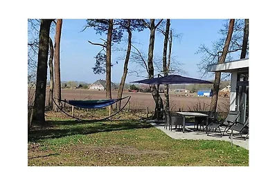 Ferienhaus in RW Haarle mit Barbecue