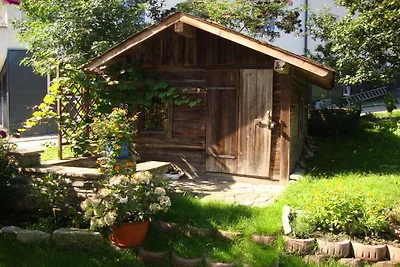Appartement avec piscine à Hippach