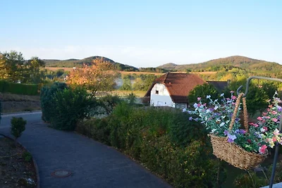 Ferienhaus in Dodenau mit Schwimmbecken