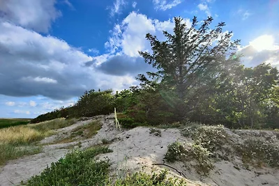 4 Sterne Ferienhaus in Hals