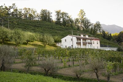 Modern appartement in de Prosecco heuvels