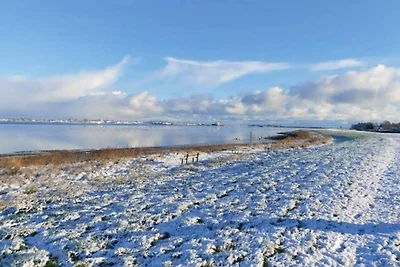 5 stelle case ad Pandrup