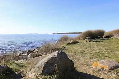 Felicidad junto al mar en Dyreborg-By Traum