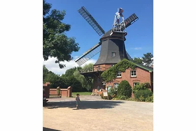 Strandnelke Rifugio moderno