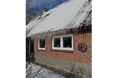 Vakantiehuis in Boren met zwembad