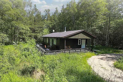 4 Persone case ad Læsø