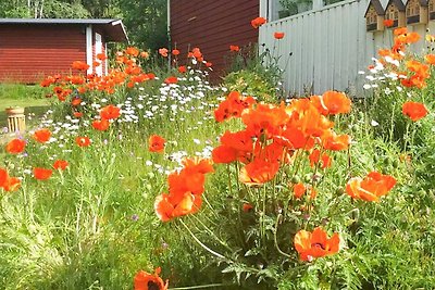 7 Personen Ferienhaus in NÄSSJÖ