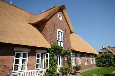 Vakantiehuis in Alkersum met zwembad