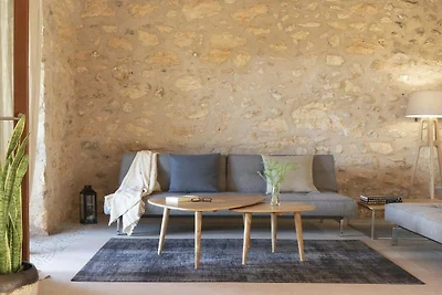 Finca Can Cunso Consell