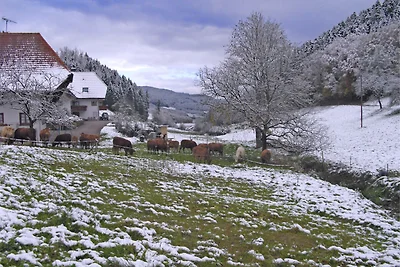 Casa vacanze a Hofstetten con terrazza