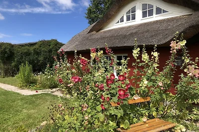 Schwalbenhof Gudderitz