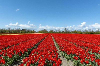 Vakantiehuis met ruime omheinde tuin