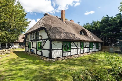 Ferienwohnung mit 2 Schlafzimmer