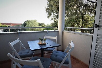 Spacious Apartment in Mandre with Terrace
