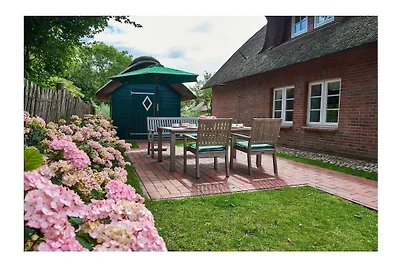 Objekt 55  || South End