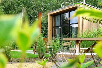 Vakantiehuis Ontspannende vakantie Velsen-Zuid