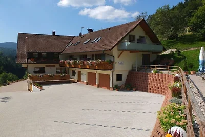 Paradies im Schwarzwald 1