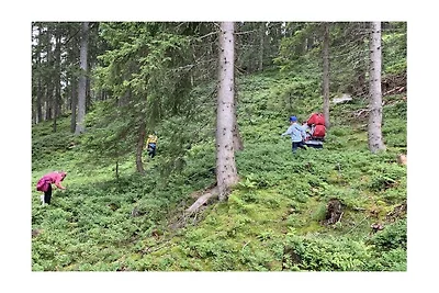 Ferienwohnung in Fügen mit Schwimmbecken
