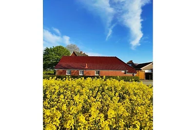 Ferienhaus in Osteel mit Schwimmbecken