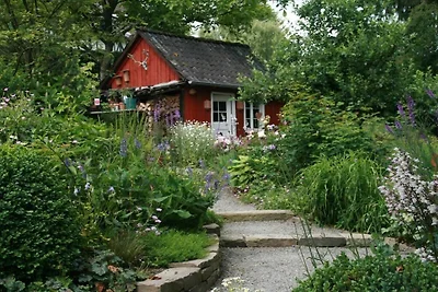 Jacob's Ladder, Tüschenbonnen Estate
