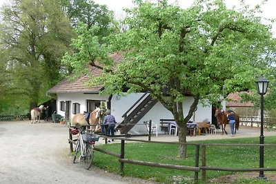 Birkenhof-Trepte