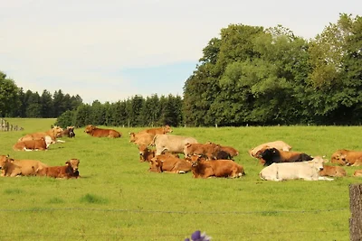 Op de Georgenhof-boerderij