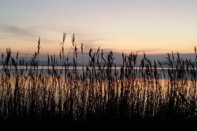 Ferienhaus in Maasholm mit Schwimmbecken