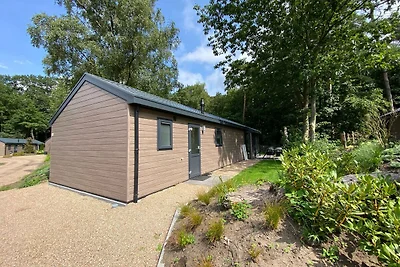 Comfy chalet with dishwasher, Utrecht at just...