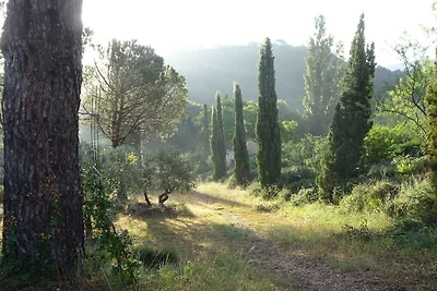 Mas Sainte Odile