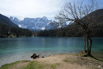 Appartamento a Verbania con vista lago