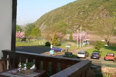 Vakantiehuis in Treis-Karden met wifi