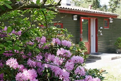 Vakantiehuis aan het meer in Sohojlandet