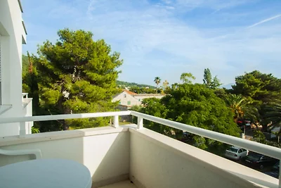 Apartments Despot Zaostrog RR