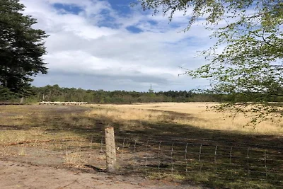 Chalet bij Eindhoven in een Groene Oase