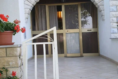 Licul Moderne retraite