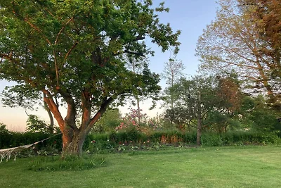 4 sterren vakantie huis in Nordborg