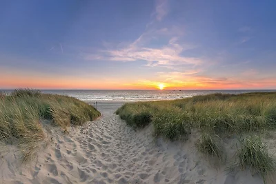 Bungalow a Texel vicino a Spiaggia e Bosco
