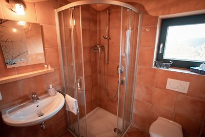 Casa vacanza unica a Viechtach con sauna